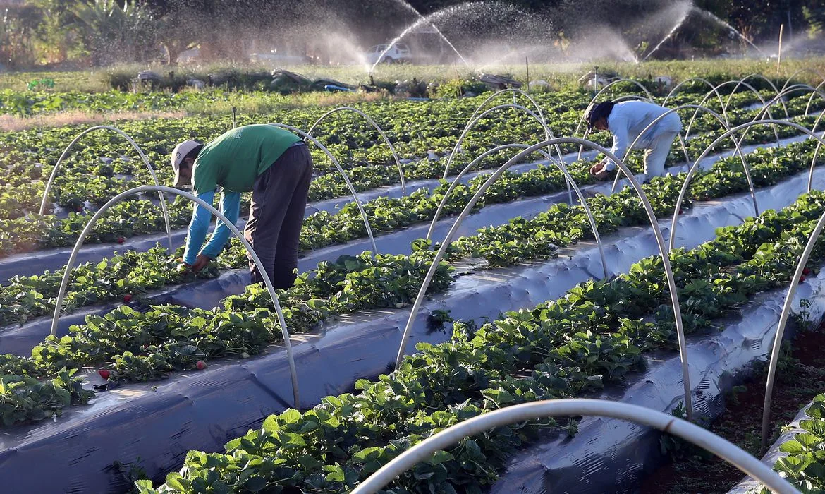 Agronegócio bate recorde e chega a 28,4 milhões de trabalhadores em 2026