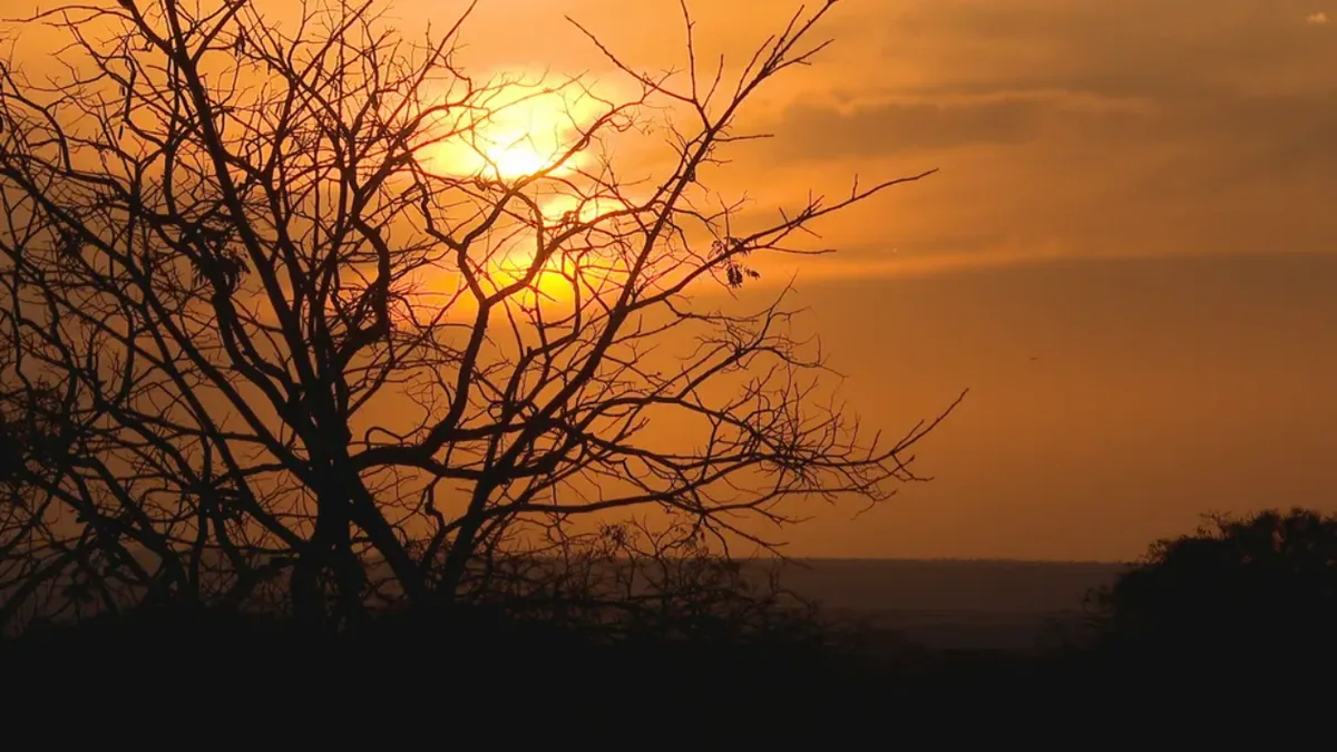 Paisagem de caatinga ressecada sob sol forte, retratando o ar seco no interior do RN