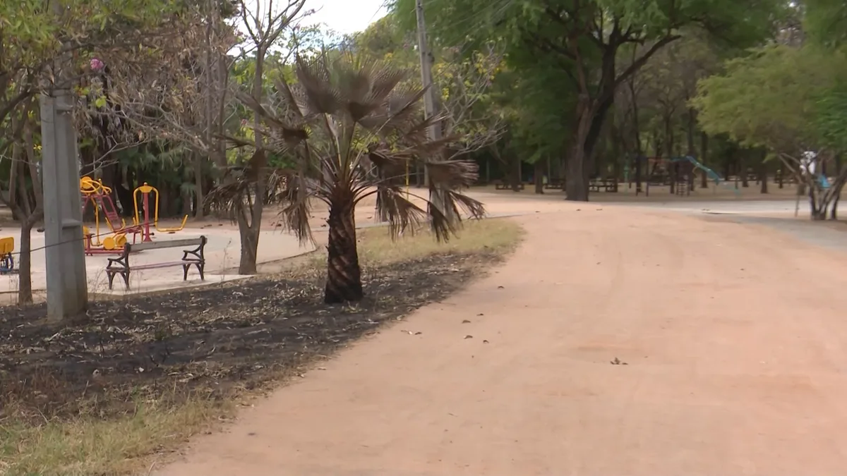 Vista do Parque Municipal Maurício de Oliveira, em Mossoró, no Oeste potiguar