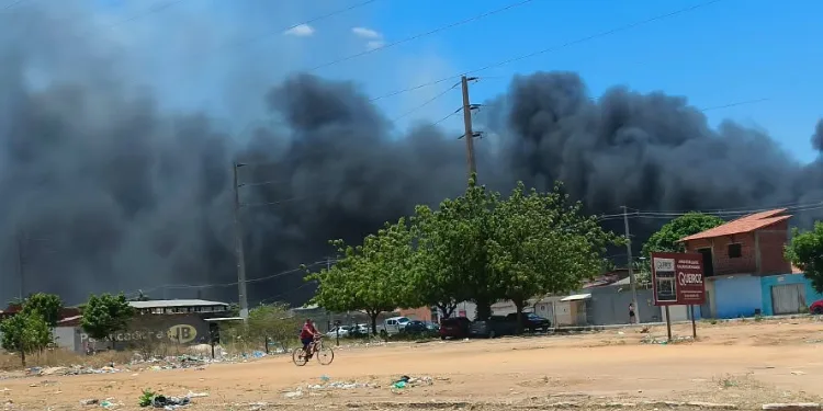 Mossoró registra 8 incêndios em um dia e soma 246 ocorrências desde julho