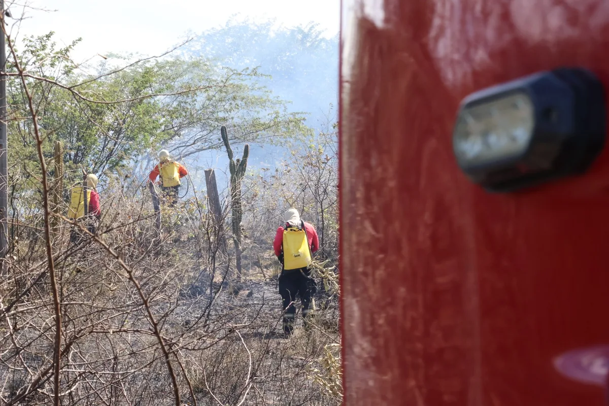 Foco de incêndio em área de vegetação no Rio Grande do Norte