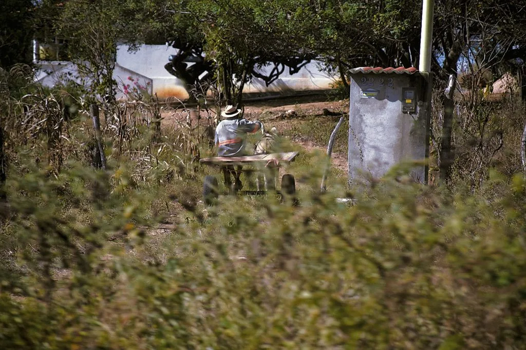 Seca do El Niño já custa R$ 68 milhões ao RN e ameaça lavouras de 2027