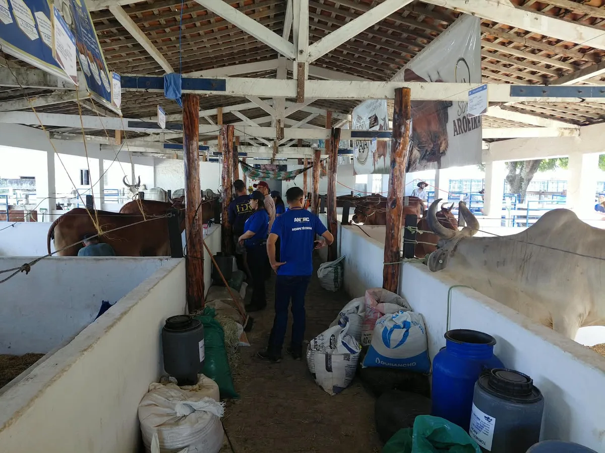 Torneio leiteiro da Festa do Boi avalia qualidade do leite e orienta criador no RN