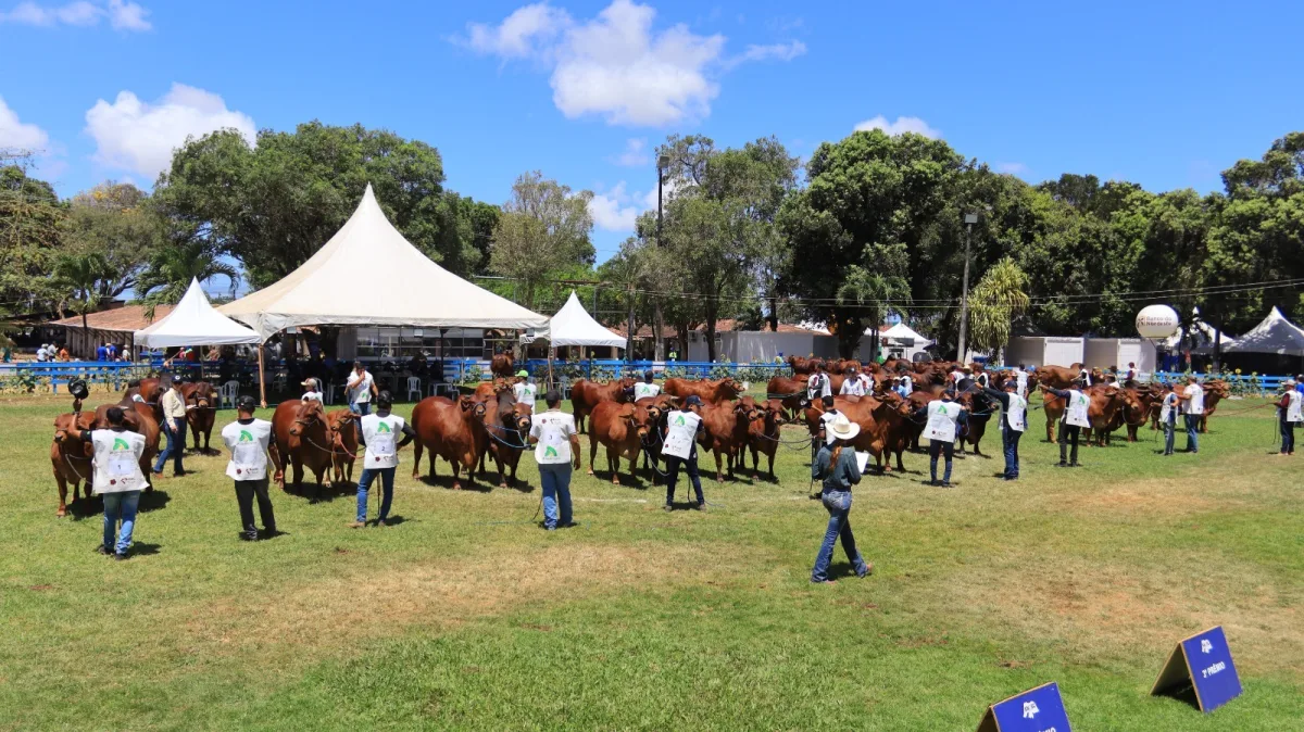 Festa do Boi 2026 bate recorde e deve girar R$ 100 milhões em Parnamirim