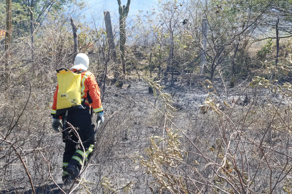Mossoró registra sete ocorrências de incêndio nas últimas 24 horas