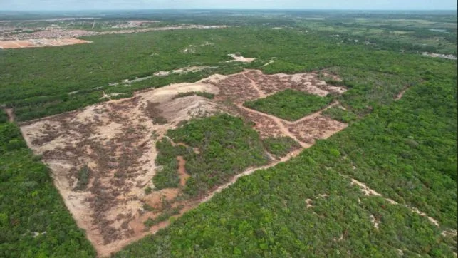 Área de vegetação de Mata Atlântica e dunas na Grande Natal