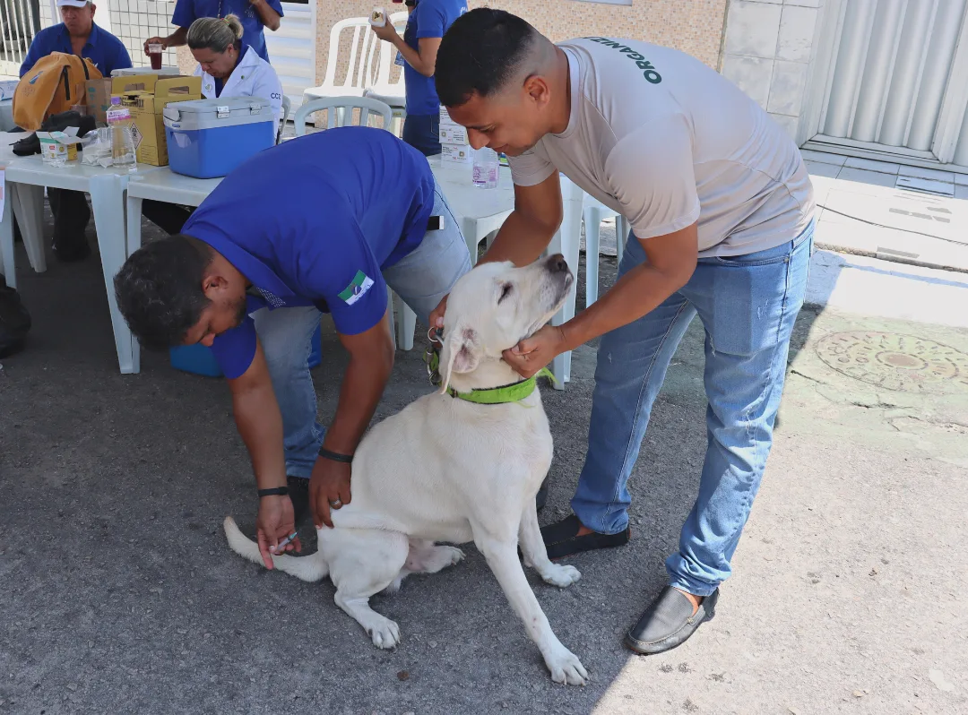 Natal abre 95 postos no sábado para vacinar cães e gatos contra a raiva