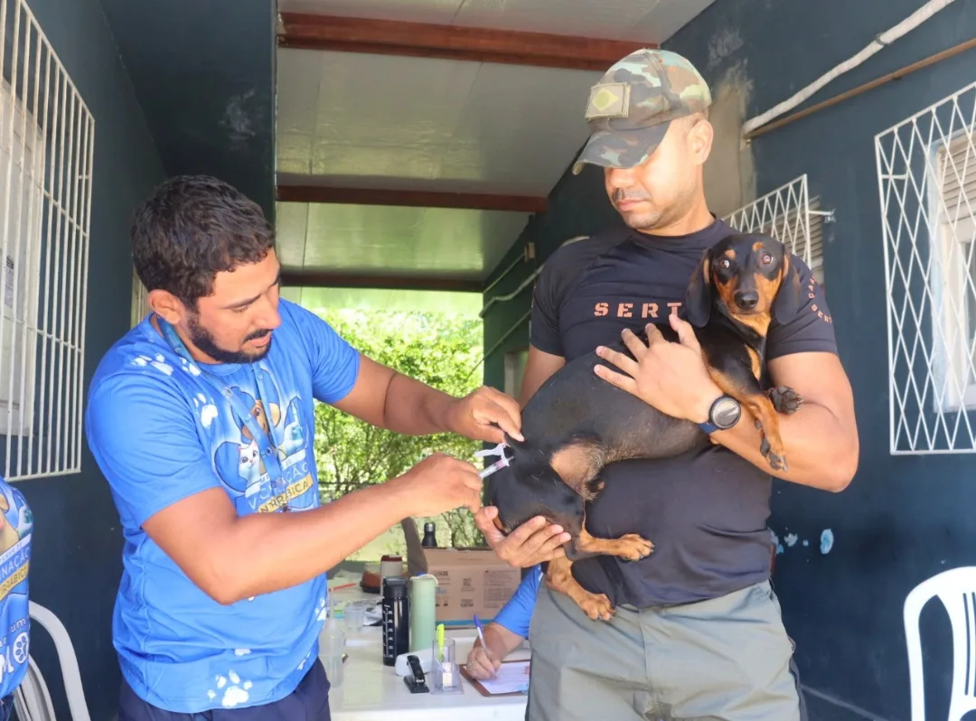 Natal supera meta e imuniza mais de 85 mil cães e gatos contra raiva