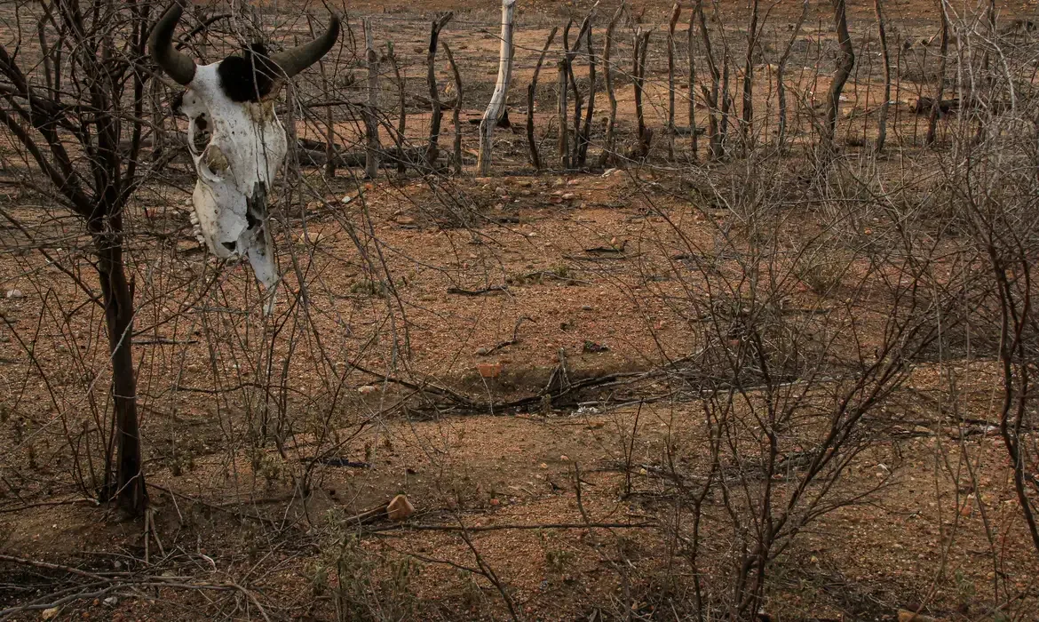 Seca leva Governo do RN a decretar emergência em 123 cidades potiguares