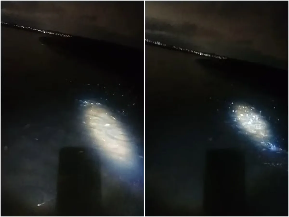 Mortandade de peixes intriga pescadores e mobiliza fiscalização no Rio Potengi