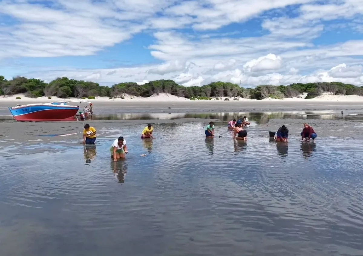 Marisqueiras de Grossos conquistam selo nacional e liberam venda de mariscos